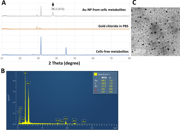 Fig 4