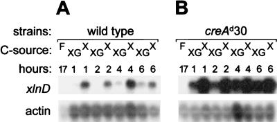 FIG. 4