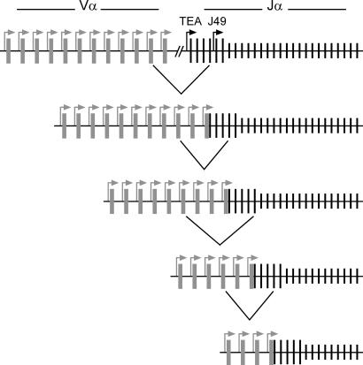 Fig. 5.