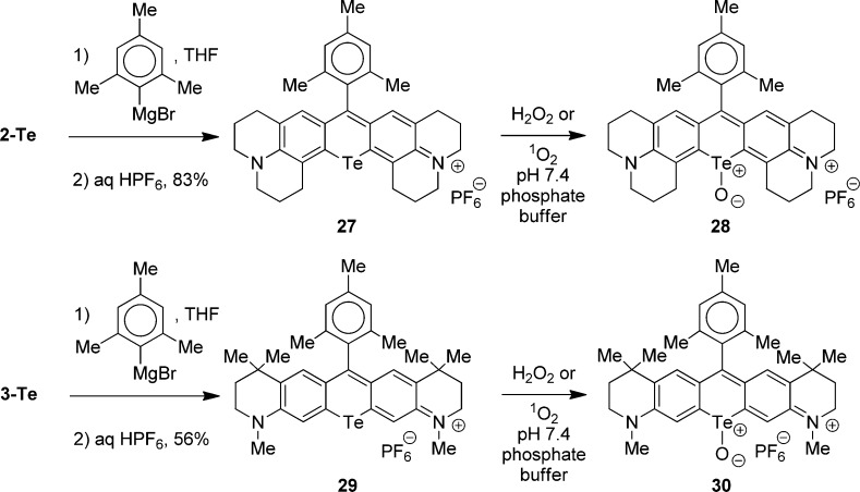 Scheme 5