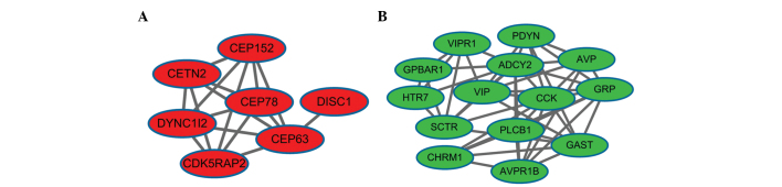 Figure 2.