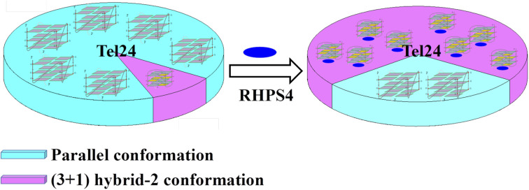 graphic file with name d2ra03959a-ga.jpg