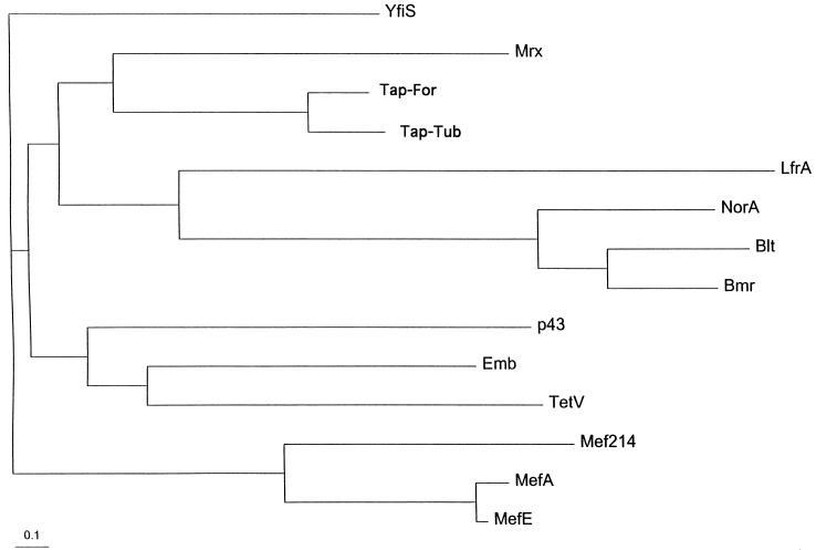 FIG. 4