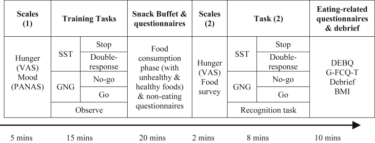 Fig. 3