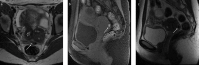 Figure 2. a–c