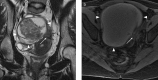 Figure 6. a, b