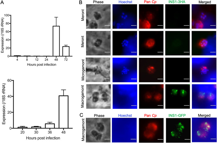 FIG 3