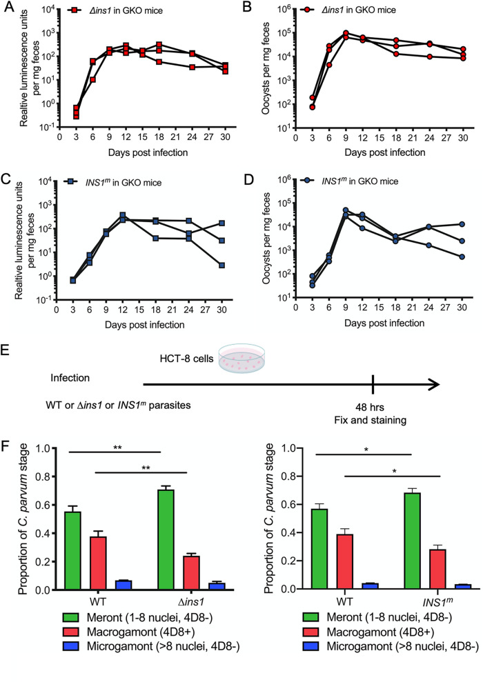 FIG 6