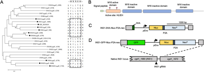 FIG 1