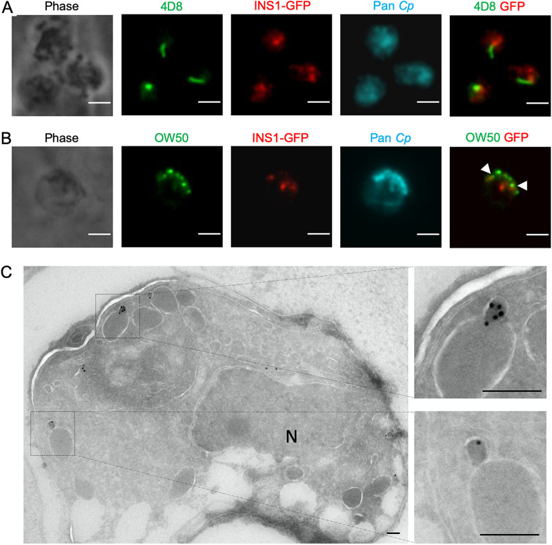 FIG 4