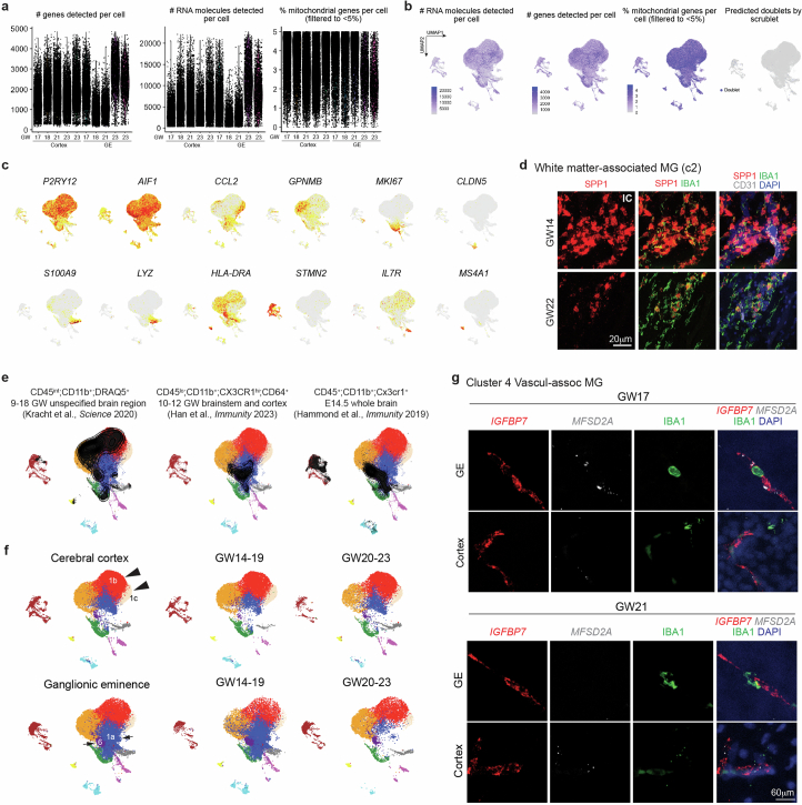 Extended Data Fig. 5