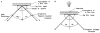 Fig. 11
