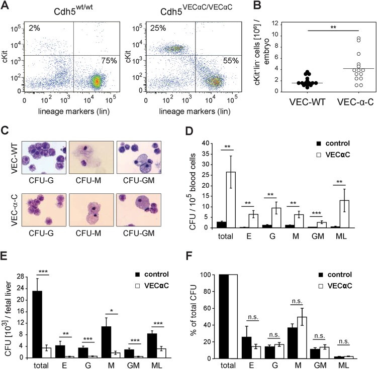 FIG 6