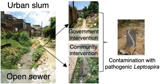 graphic file with name nihms-1823713-f0001.jpg