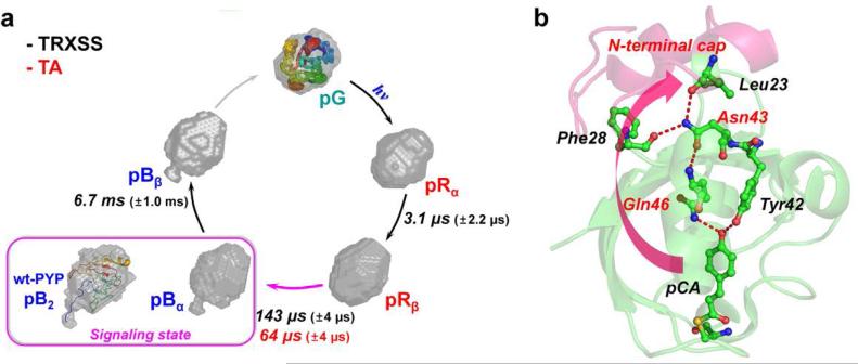 Fig. 4