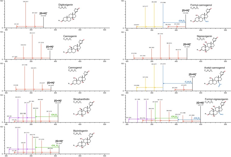 Figure 9—figure supplement 1.