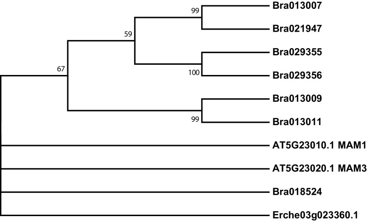 Figure 4—figure supplement 3.