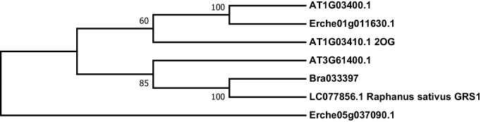 Figure 4—figure supplement 9.