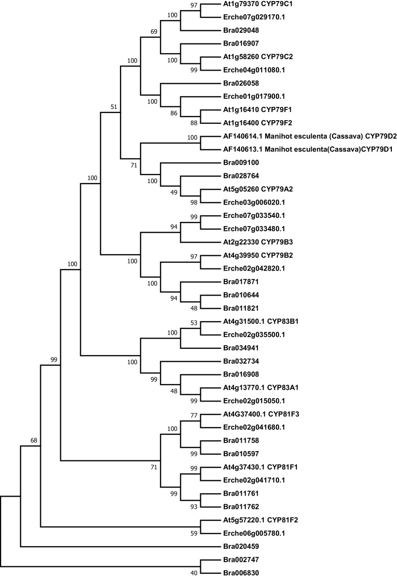 Figure 3—figure supplement 1.