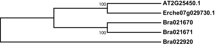 Figure 4—figure supplement 8.