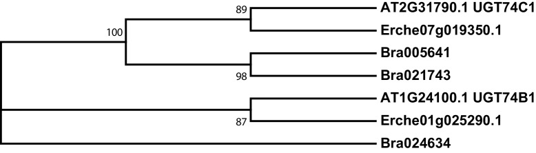 Figure 3—figure supplement 5.