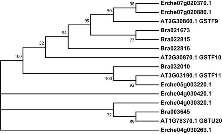 Figure 3—figure supplement 2.