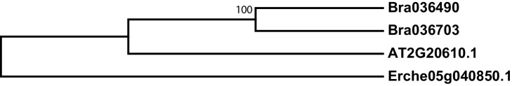 Figure 3—figure supplement 4.