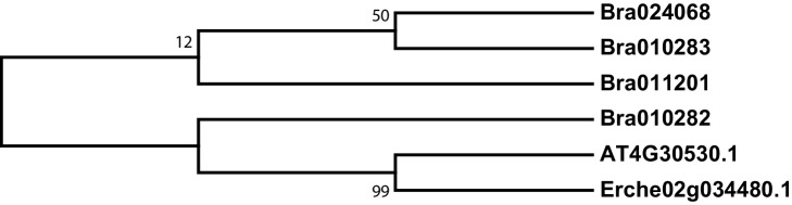 Figure 3—figure supplement 3.