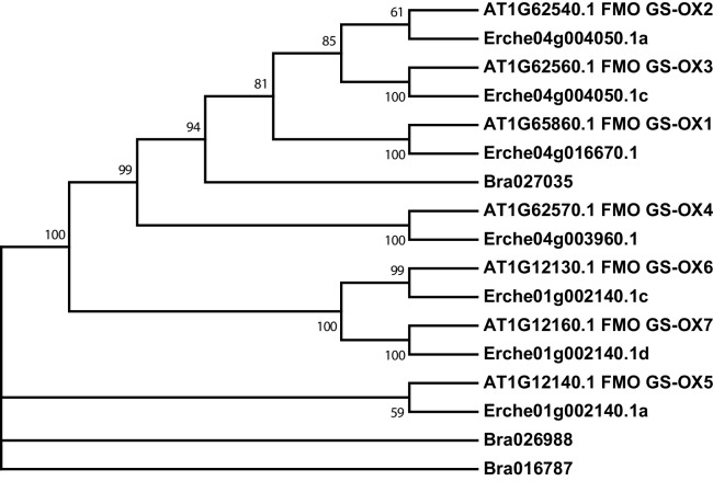 Figure 4—figure supplement 6.