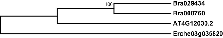 Figure 4—figure supplement 2.