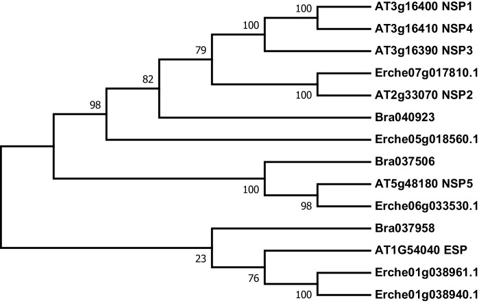 Figure 4—figure supplement 11.