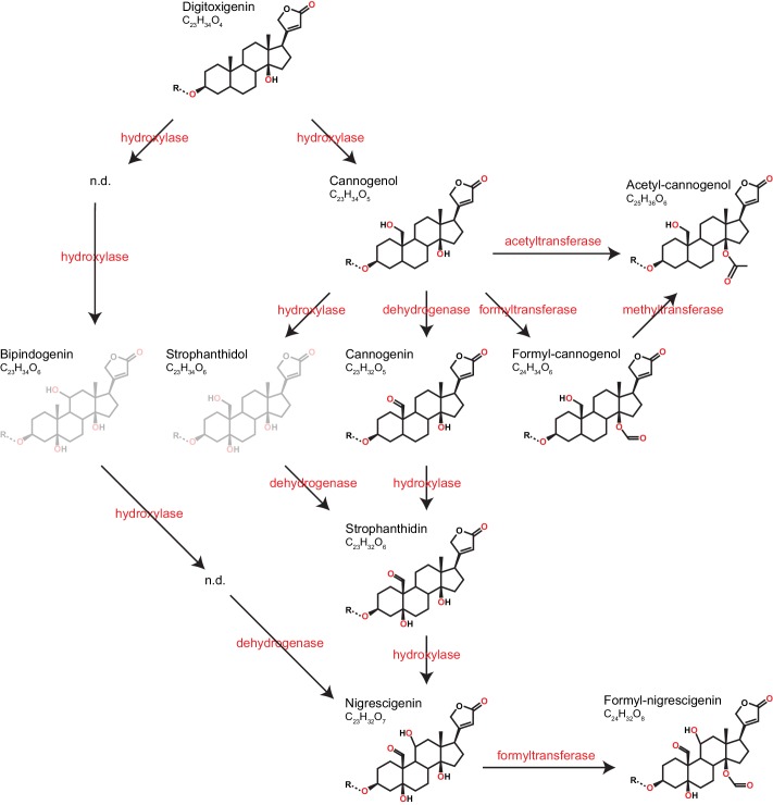 Figure 9.