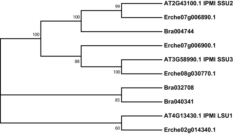 Figure 4—figure supplement 4.