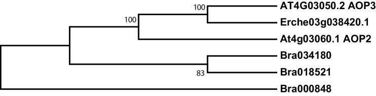 Figure 4—figure supplement 7.