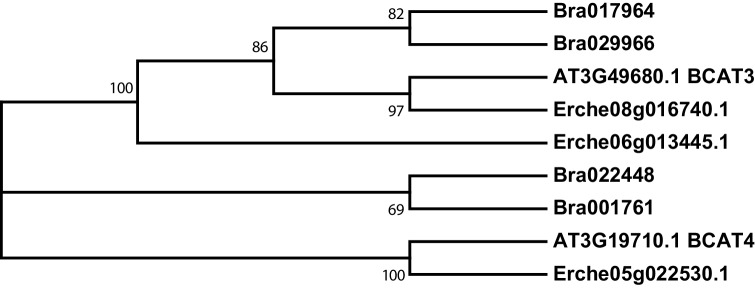 Figure 4—figure supplement 1.