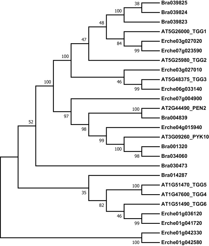 Figure 4—figure supplement 10.