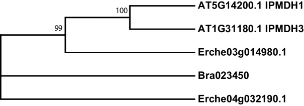 Figure 4—figure supplement 5.