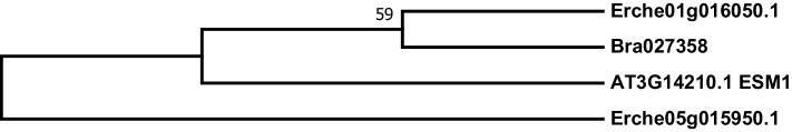 Figure 4—figure supplement 12.