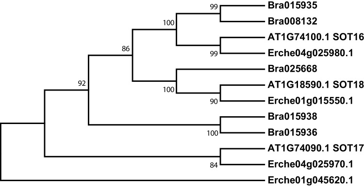 Figure 3—figure supplement 6.