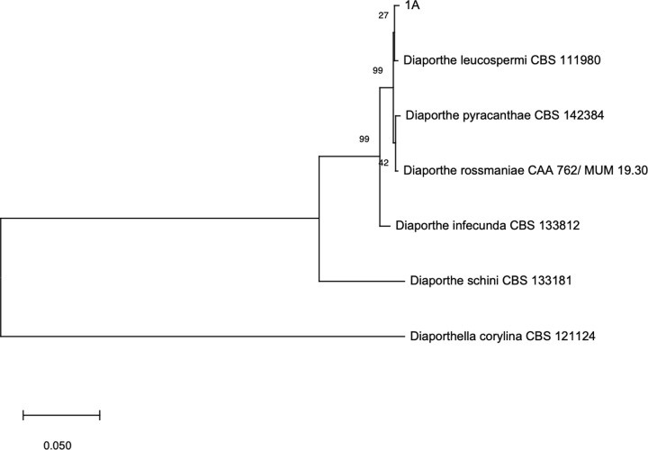 Fig 2