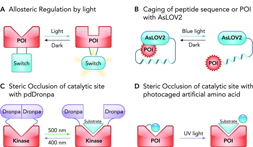 FIGURE 4.