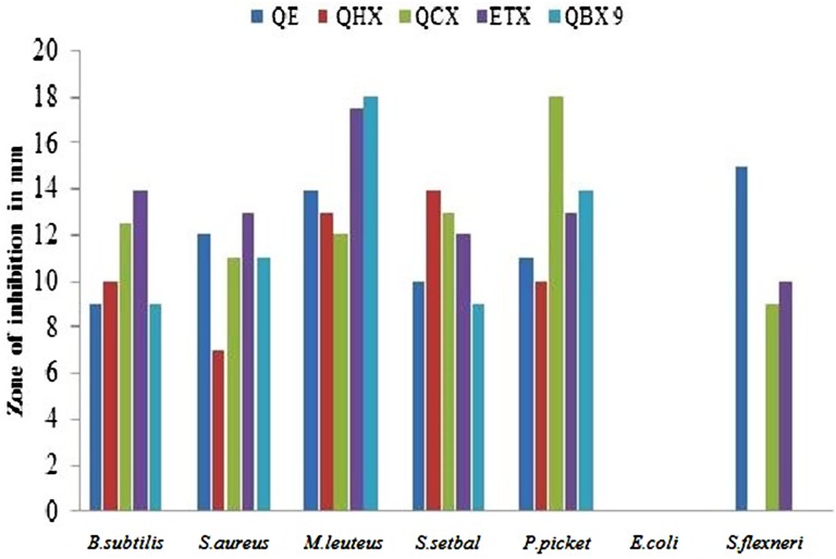 FIGURE 3