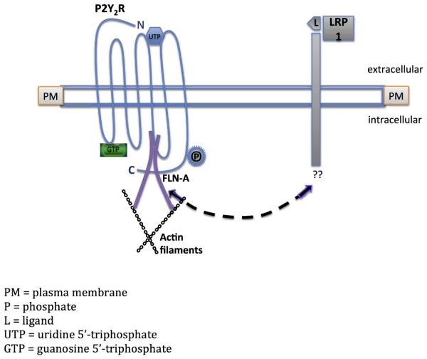 Fig. 9