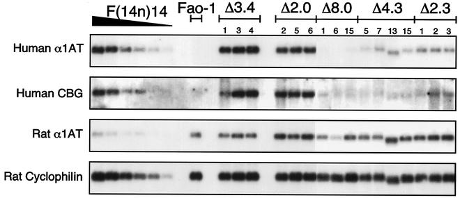 FIG. 6.