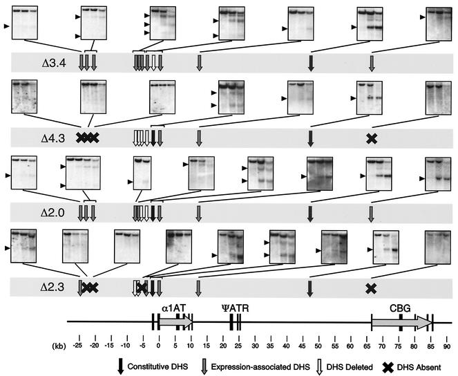 FIG. 7.