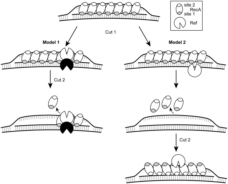 Figure 7.