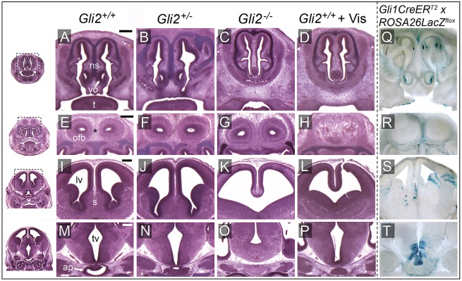 Fig. 3.