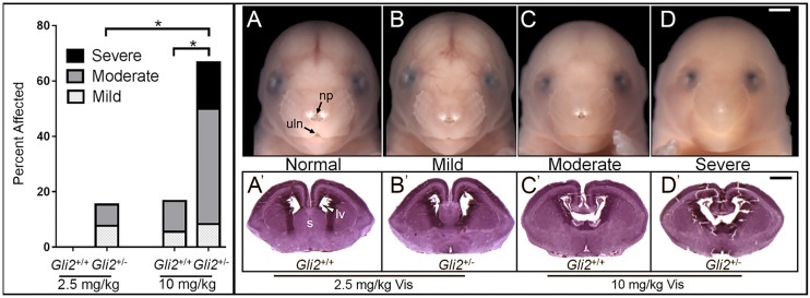 Fig. 5.