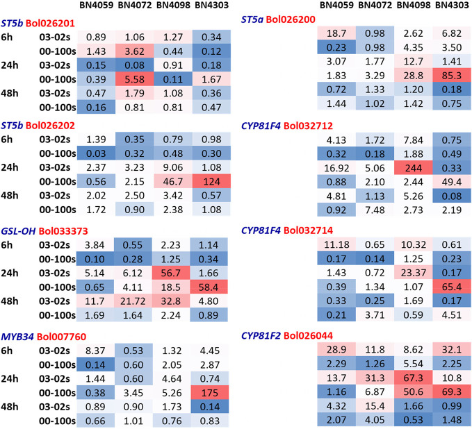 Figure 4