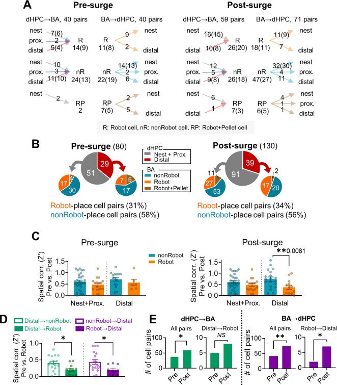 Figure 2—figure supplement 3.